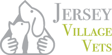 Jersey Village Vets